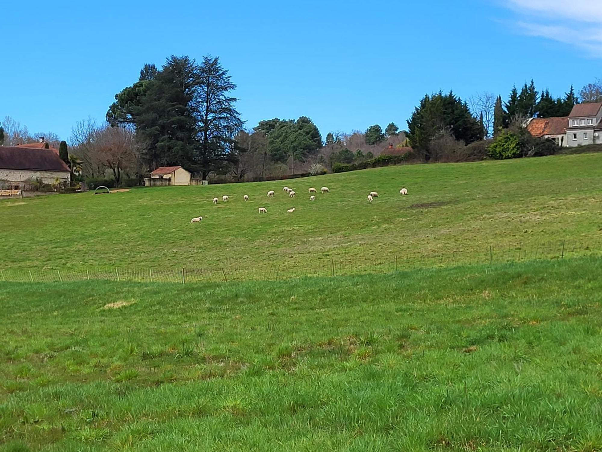 La Grange Du Chateau Boissieres  Dış mekan fotoğraf